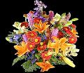 fleurs et nature (24)